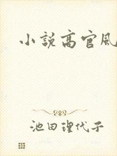 小说高官风流