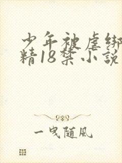 少年被虐绑着榨精18禁小说