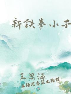 新铁拳小子