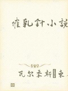 催乳针小说