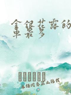 金银花露的哪个车最多