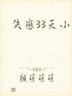 失恋33天小说