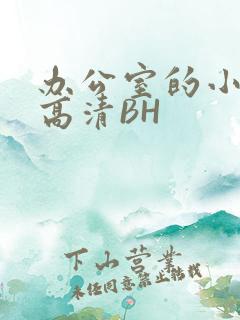 办公室的小秘书高清BH