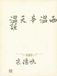 温天辛温西离小说