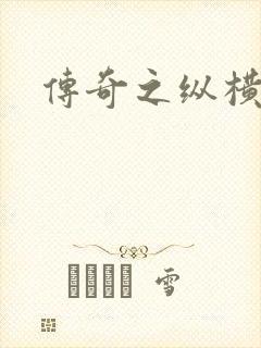 传奇之纵横法师