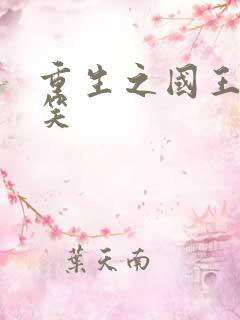 重生之国王的微笑