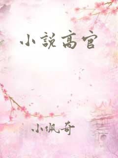 小说高官