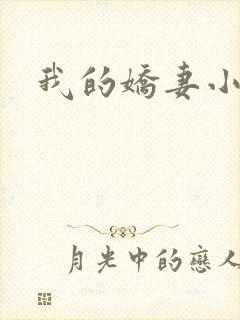 我的娇妻小说