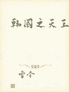韩国之天王