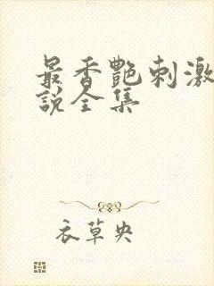 最香艳刺激的小说全集