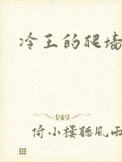 冷王的爬墙丑妃