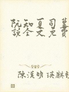 阮知夏司暮寒小说全文免费