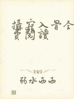 摄宠入骨全文免费阅读