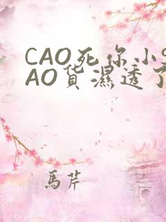 CAO死你小SAO货湿透了学长