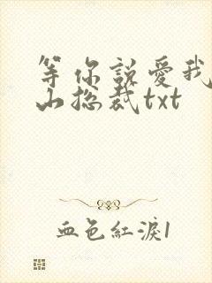 等你说爱我之冰山总裁txt