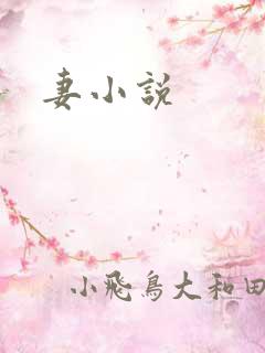 妻小说