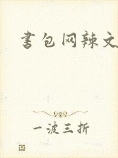 书包网辣文