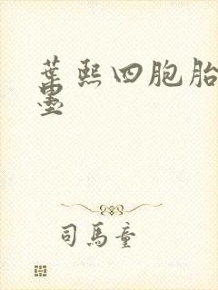 叶熙四胞胎厉子墨