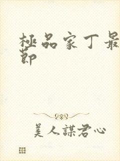 极品家丁最新章节