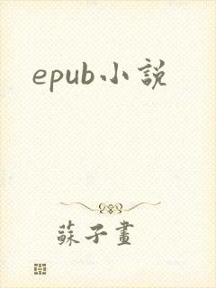 epub小说