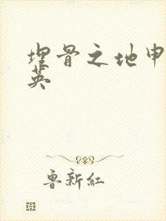 埋骨之地申屠奎英