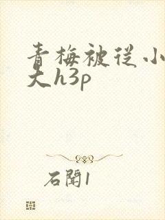 青梅被从小摸到大h3p