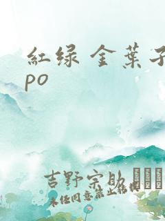 红绿 金叶子 po