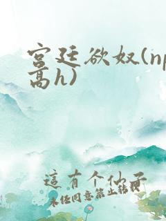 宫廷欲奴(np高h)