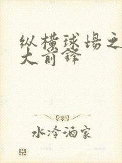 纵横球场之暴力大前锋