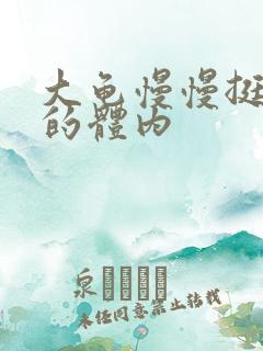 大龟慢慢挺进我的体内