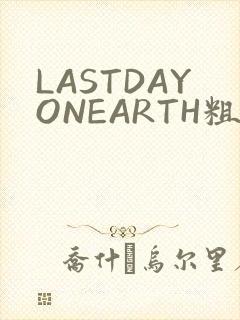 LASTDAYONEARTH粗暴