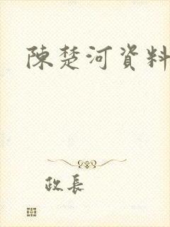 陈楚河资料