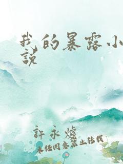 我的暴露小说小说
