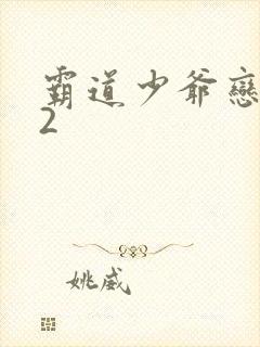 霸道少爷恋上我2