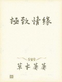 极致情缘