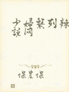 少妇系列辣文小说网