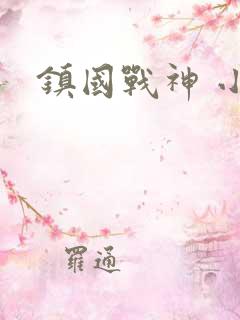 镇国战神 小说