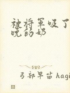 被将军吸了一整晚的奶