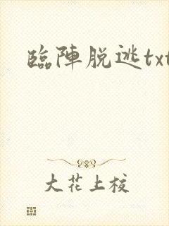 临阵脱逃txt