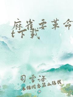 麻雀要革命txt下载