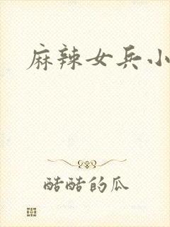 麻辣女兵小说版