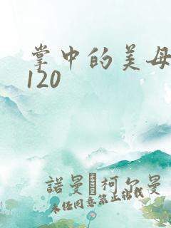 掌中的美母版主120