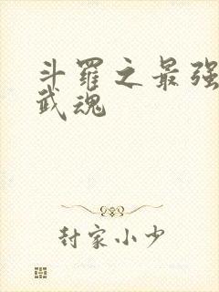 斗罗之最强治疗武魂