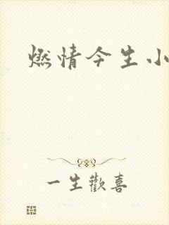燃情今生小说