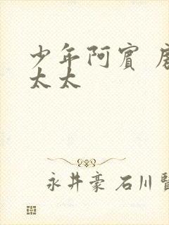 少年阿宾 房东太太