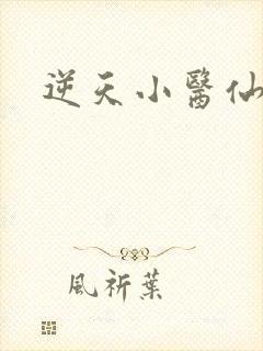 逆天小医仙陈平