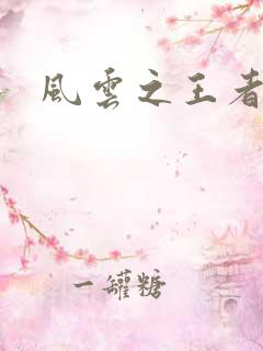 风云之王者人生