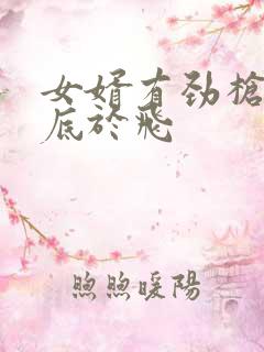 女婿有劲枪枪到底于飞