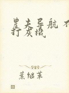 农夫导航 不准打灰机