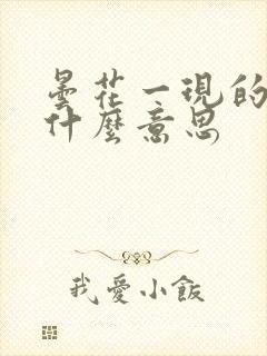 昙花一现的现是什么意思